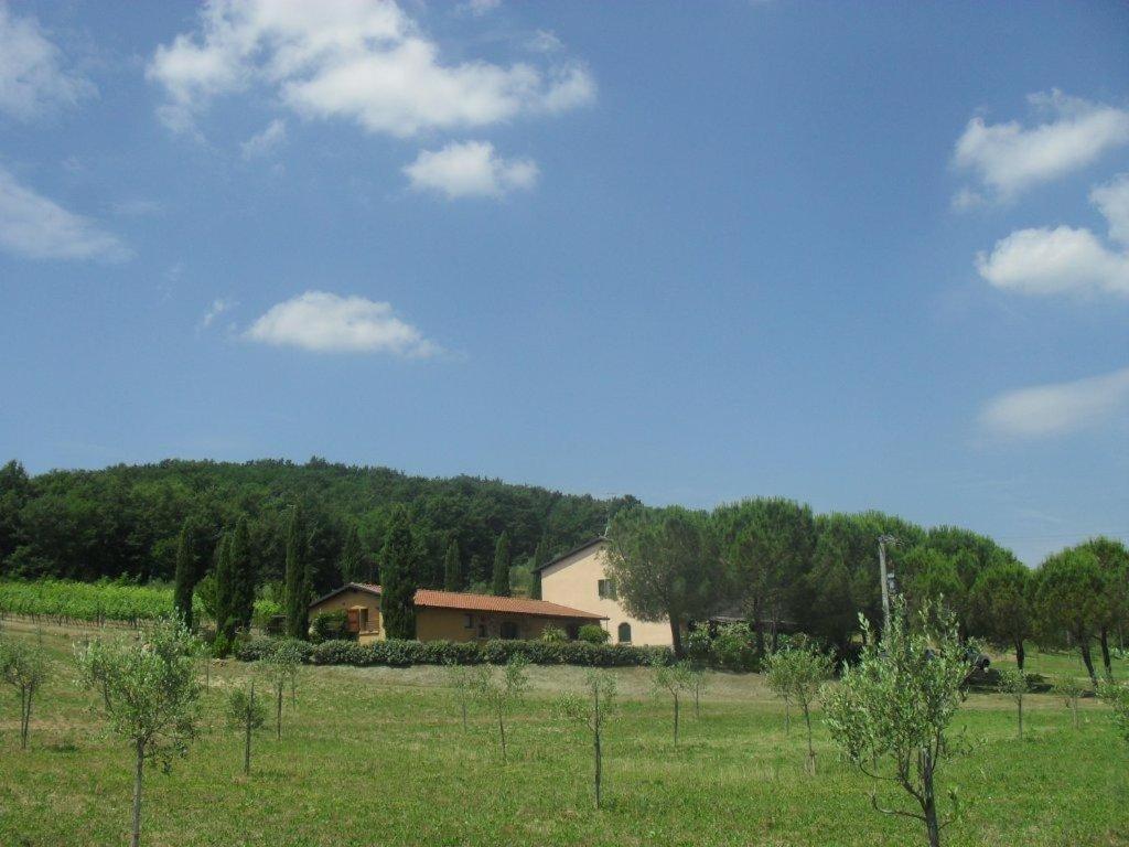 Agriturismo Podere Mulinaccio Ribolla Esterno foto