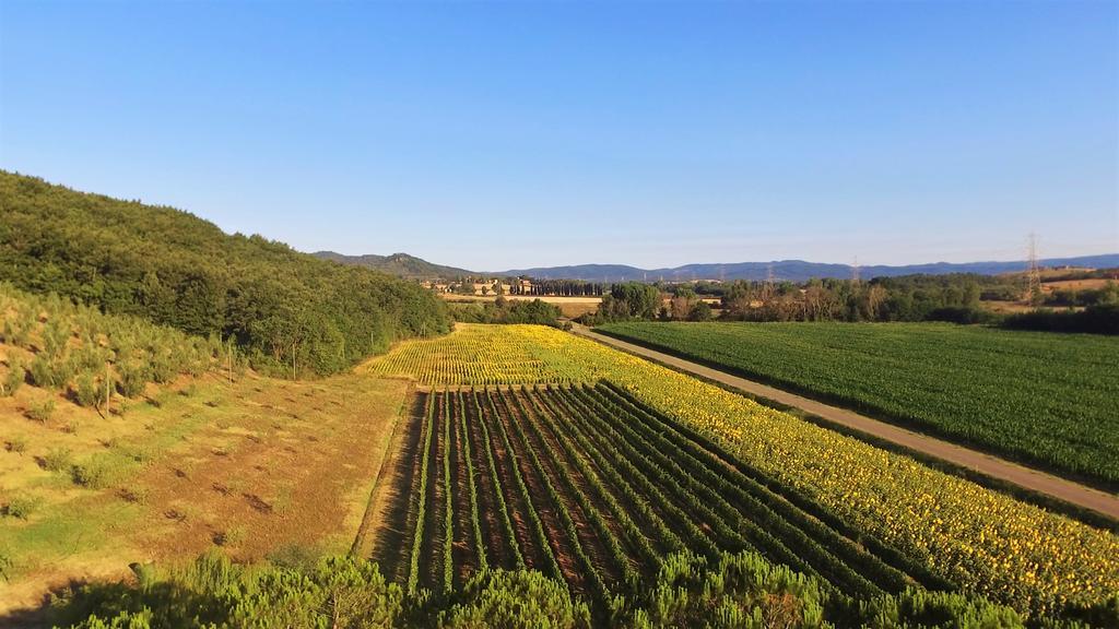 Agriturismo Podere Mulinaccio Ribolla Esterno foto