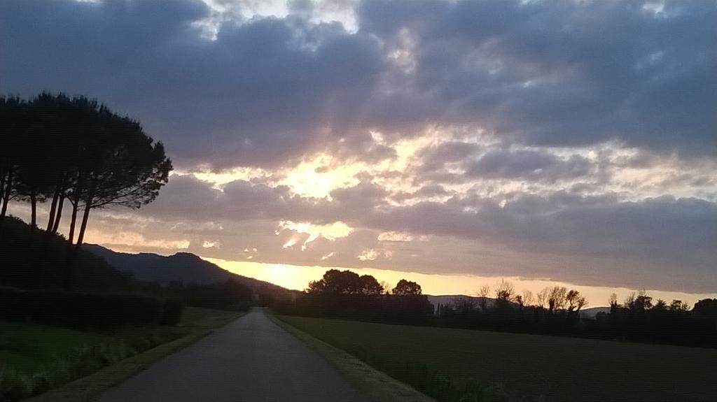Agriturismo Podere Mulinaccio Ribolla Esterno foto