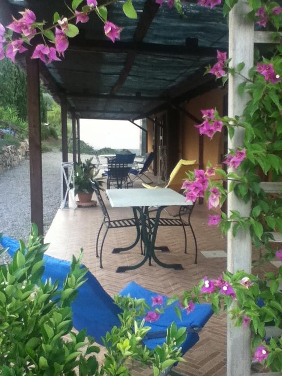 Agriturismo Podere Mulinaccio Ribolla Esterno foto